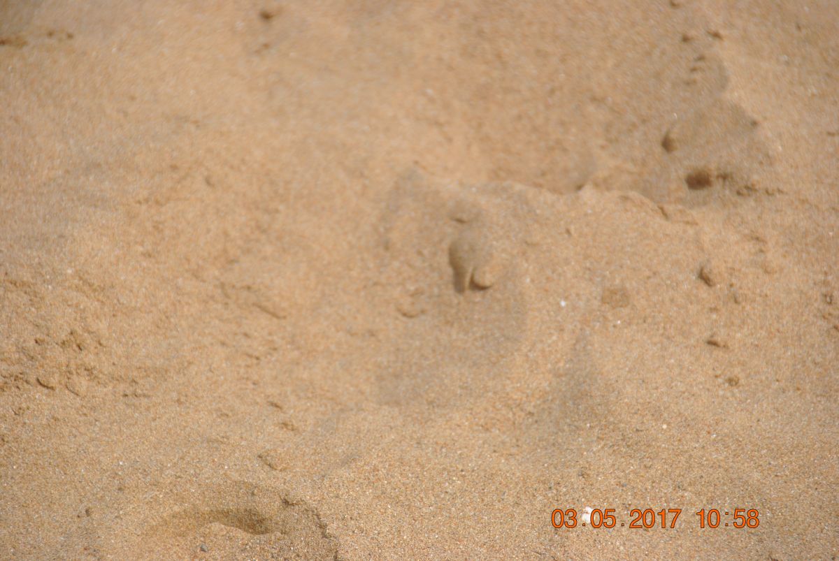 imagini hotel JACARANDA IMPERIAL SIDE